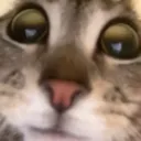 huh