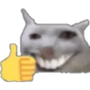 yoi
