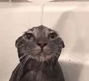 4055