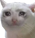 Cry Cry