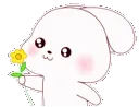 LL_bunnyflower