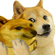 dogeandcheems_SIN Discord Emoji