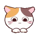catCute