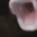 pogfish2 Discord emoji