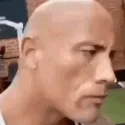 Y_IDidntHearYou