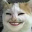 gpu_pet_catsmile