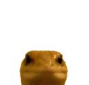 Gecko_Bruh