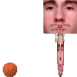 widehardodunkson4hoop