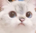 concern concern
