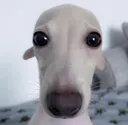 __ __