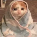 sadcato Discord Emoji