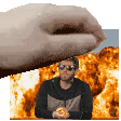 petlinus