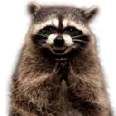 thispleasesracoon