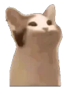 emoji_27 emoji_27