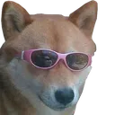 doggoshades doggoshades