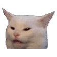ConfusedCat
