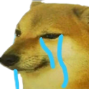TH_saddoge Discord emoji