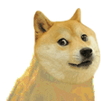 DogeDance