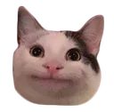 fh_welpcat