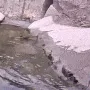 joeyDive