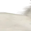 widepeepoPussy1