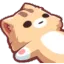 cat_dead