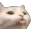 cat_blep