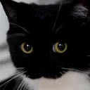 whatthefuck whatthefuck