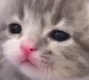 emoji_128 emoji_128