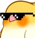 birbcool