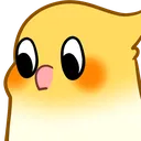 birbeyes