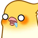 birbdrool