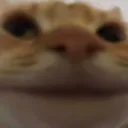 kittyhehe Discord Emoji