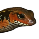 Stinkboi Discord emoji