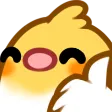 birbup1
