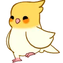 birbtippytap
