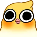 birbshock birbshock