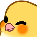 birbwink