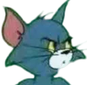 TomCatlooking Discord Emoji