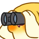 birblook