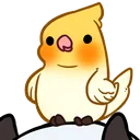 birbsit