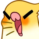 birbSHOUT