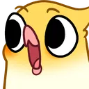 birbPOG