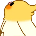 birbup2