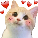 catlove Discord emoji