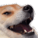 kek360 Discord emoji