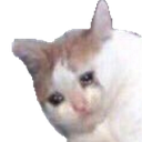 sadfat Discord emoji