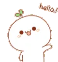 hello