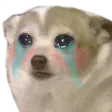bary_sad