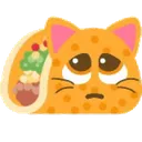 pleading_taco_cat